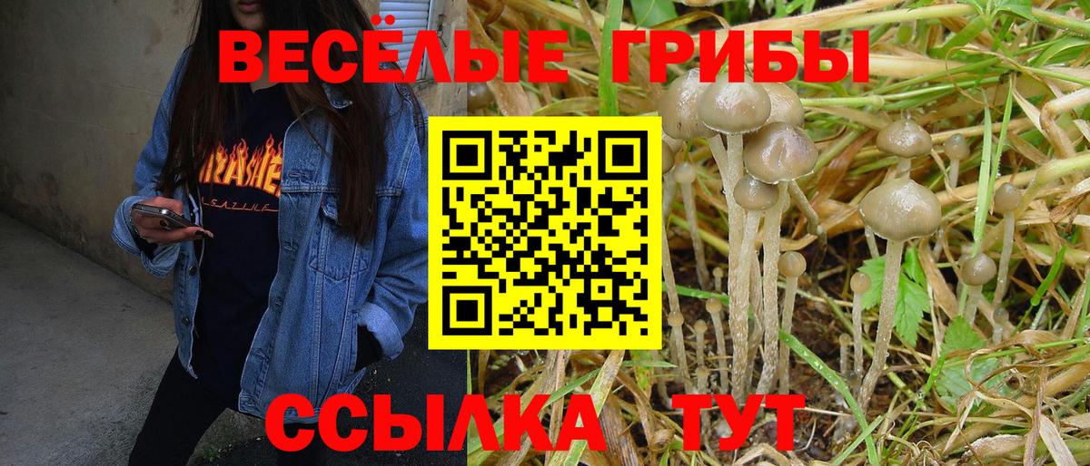 Псилоцибиновые грибы Psilocybine cubensis  Вход с VPN  Галлюциногенные грибы Psilocybe  Асино 