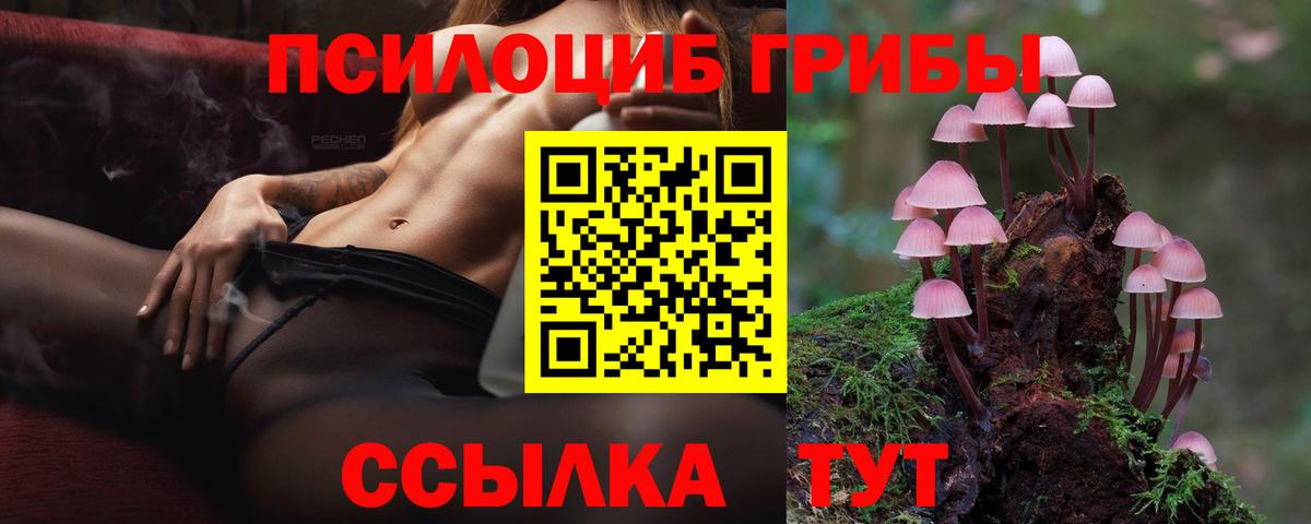 Галлюциногенные грибы Psilocybine cubensis Асино