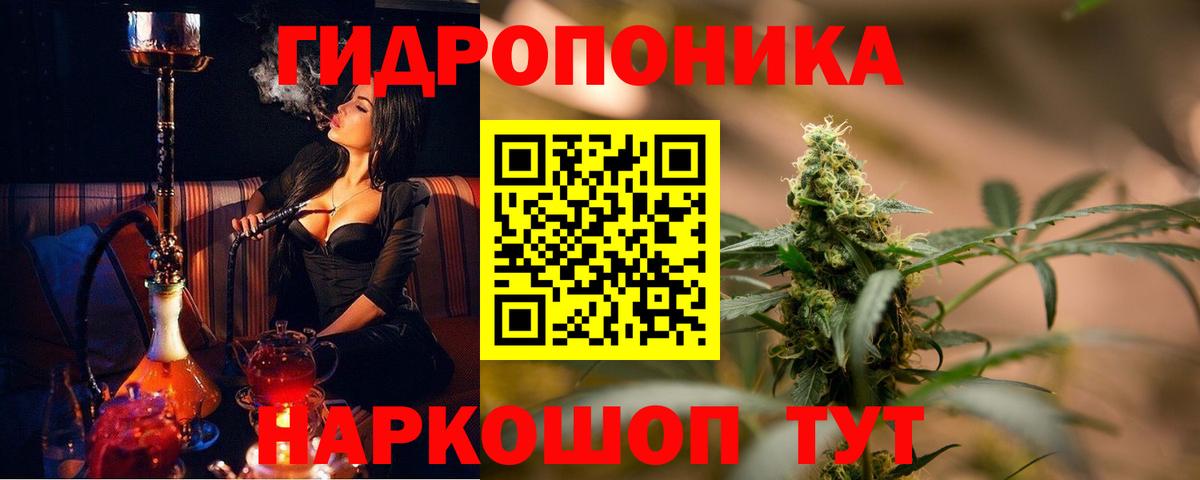 Бошки Шишки сатива  Бошки марихуана THC 21%  Асино  Марихуана планчик  Вход с VPN 